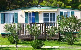 Arena Stupice Camping Homes